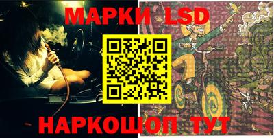 индика Рыбинск