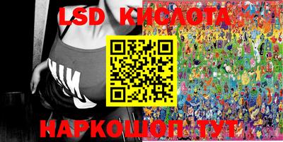индика Рыбинск