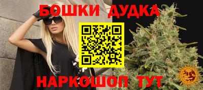 индика Рыбинск