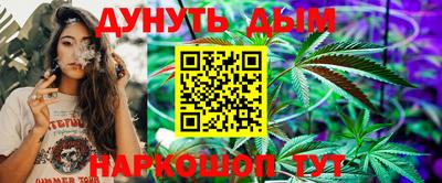 индика Рыбинск
