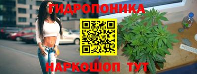 индика Рыбинск