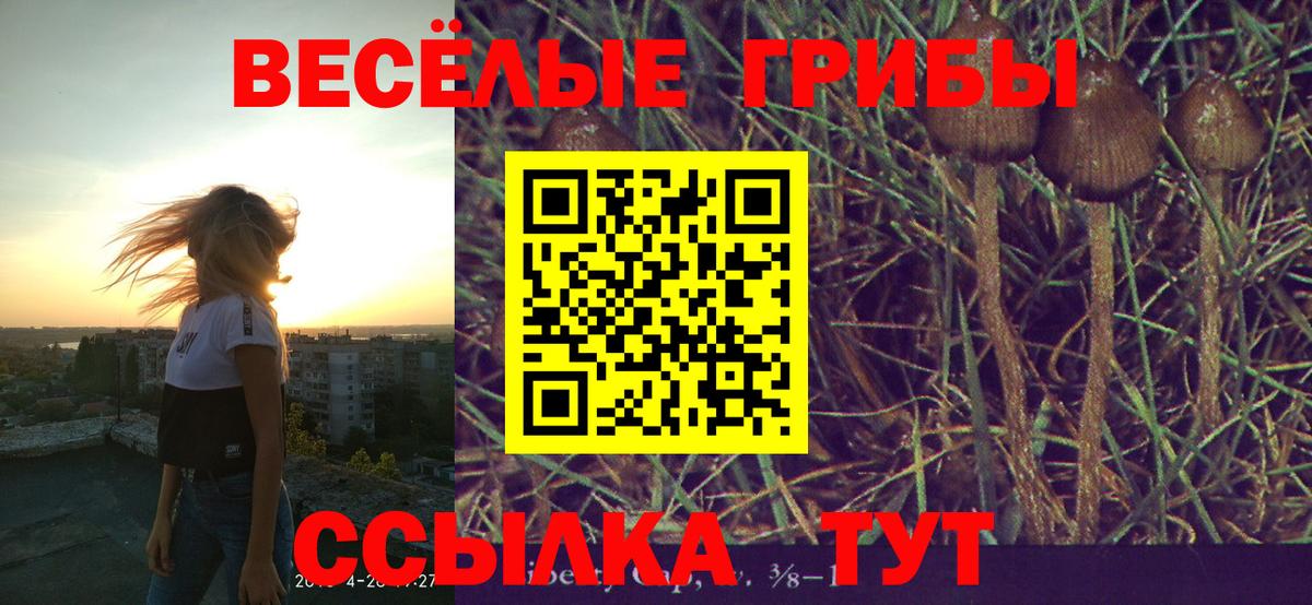 Галлюциногенные грибы прущие грибы Свободный