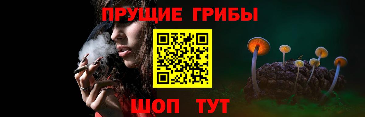 Псилоцибиновые грибы MAGIC MUSHROOMS  Галлюциногенные грибы ЛСД  Свободный  Вход с VPN 